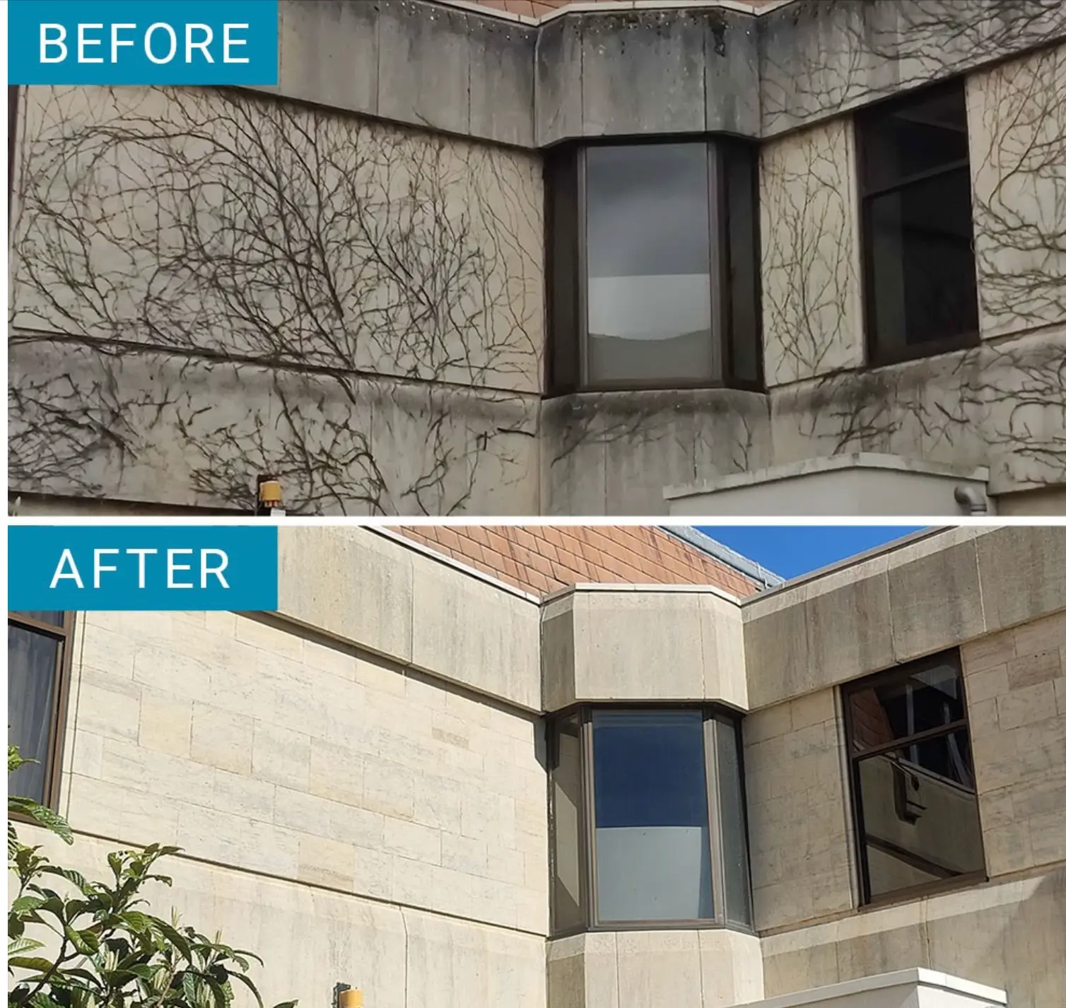Before and after stone building facade cleaned back to pale sandstone